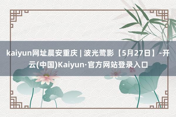 kaiyun网址晨安重庆 | 波光鹭影【5月27日】-开云(中国)Kaiyun·官方网站登录入口