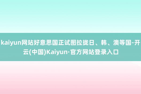 kaiyun网站好意思国正试图拉拢日、韩、澳等国-开云(中国)Kaiyun·官方网站登录入口
