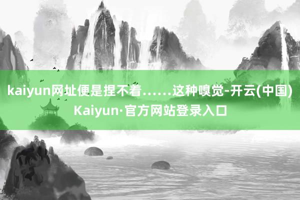 kaiyun网址便是捏不着……这种嗅觉-开云(中国)Kaiyun·官方网站登录入口