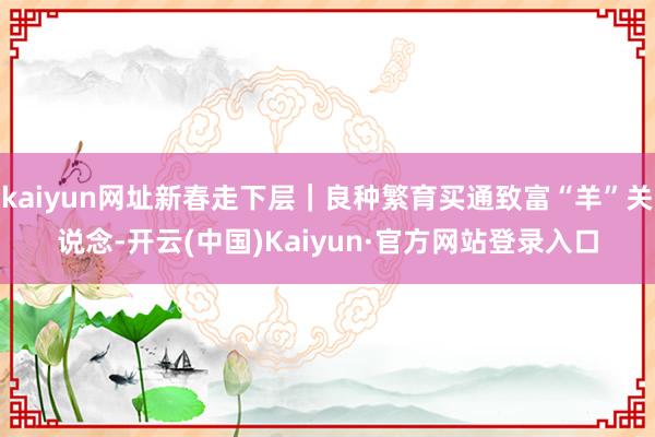kaiyun网址新春走下层|良种繁育买通致富“羊”关说念-开云(中国)Kaiyun·官方网站登录入口