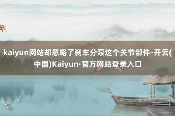kaiyun网站却忽略了刹车分泵这个关节部件-开云(中国)Kaiyun·官方网站登录入口