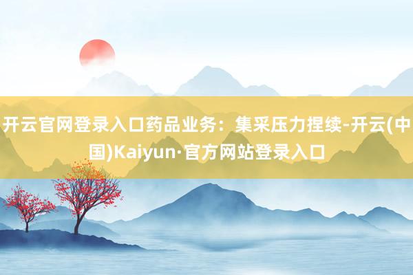 开云官网登录入口 药品业务:集采压力捏续-开云(中国)Kaiyun·官方网站登录入口