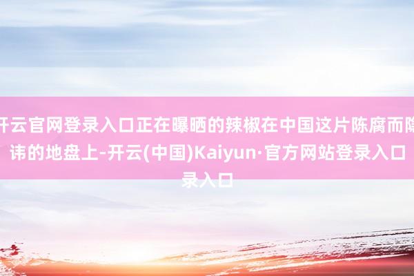 开云官网登录入口正在曝晒的辣椒在中国这片陈腐而隐讳的地盘上-开云(中国)Kaiyun·官方网站登录入口