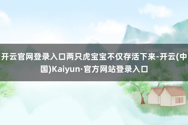 开云官网登录入口两只虎宝宝不仅存活下来-开云(中国)Kaiyun·官方网站登录入口